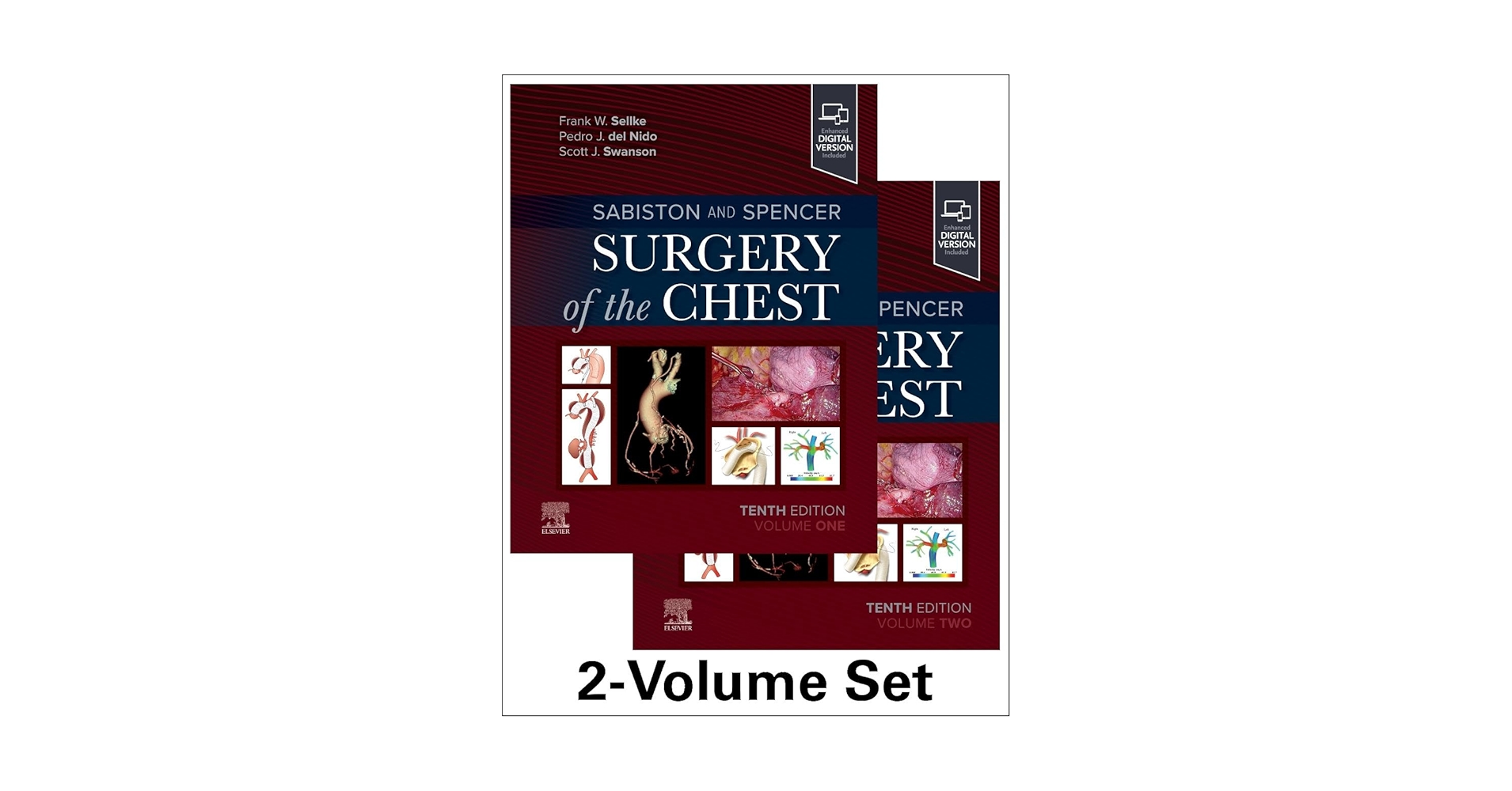 ●裁断済 呼吸器外科テキスト Textbook of Chest Surgery Sabiston and Spencer Surgery of the Chest: 9780323790246